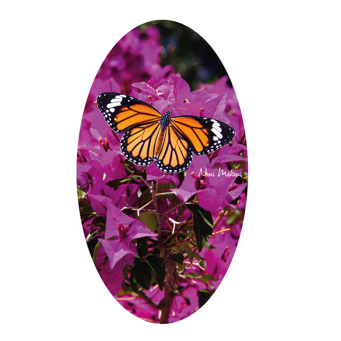 MARIPOSA
