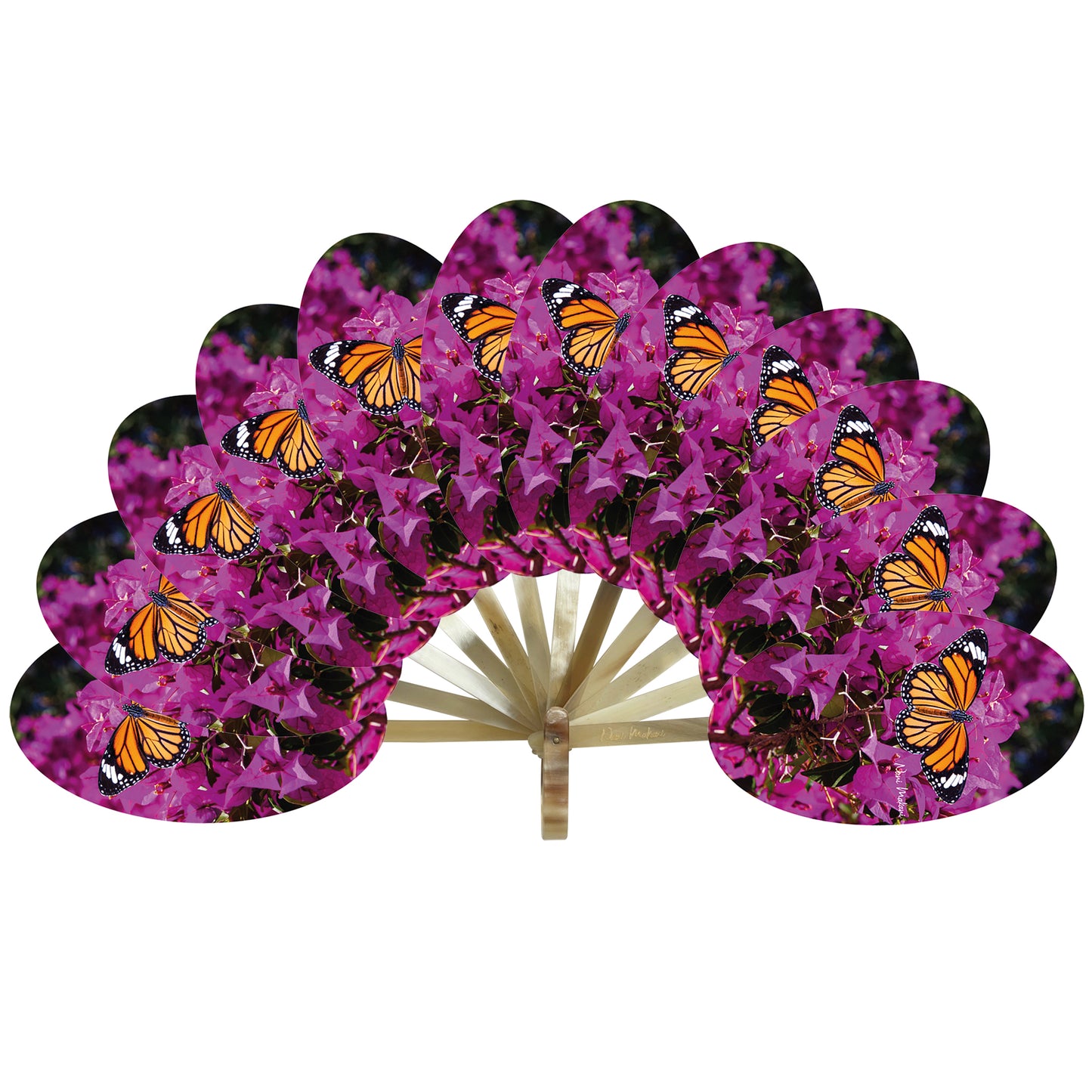 MARIPOSA